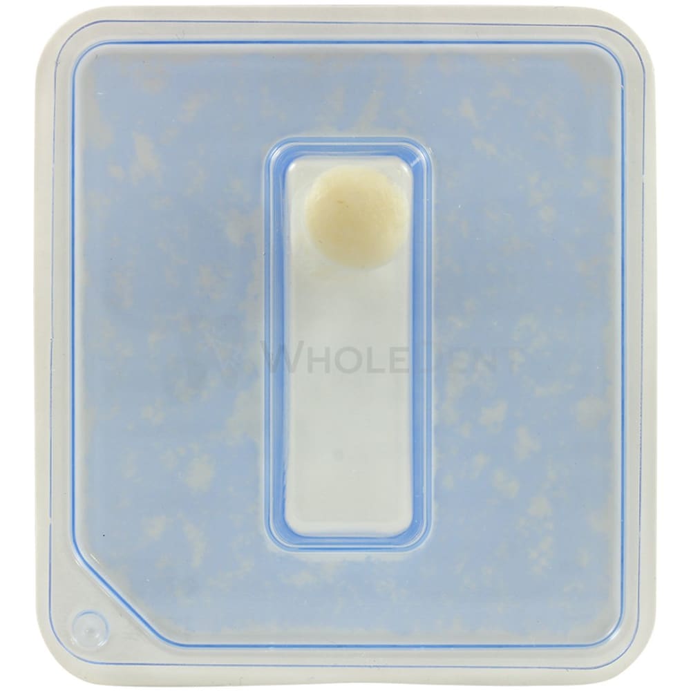 DSI Pure Sponge Collagen Plug, Individual Packaging-Collagen Sponge-WholeDent.com