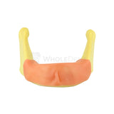 Easyinsmile Anatomically Bone Mandible Lower Jaw Model With Gums Training