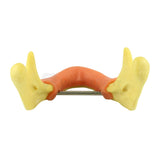 Easyinsmile Anatomically Bone Mandible Lower Jaw Model With Gums Training