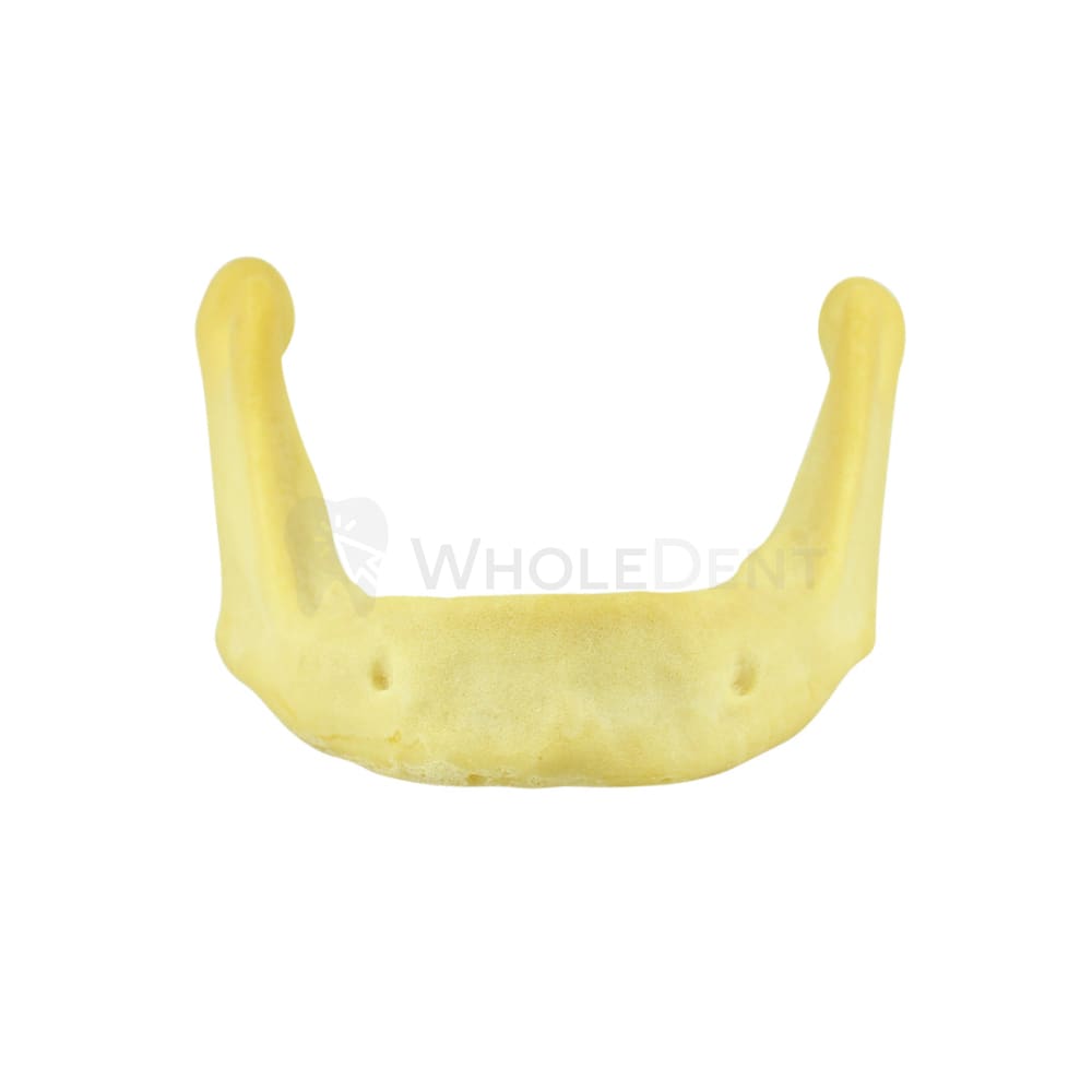 Easyinsmile Anatomically Bone Mandible Lower Jaw Model Without Gums Training