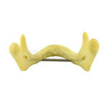 Easyinsmile Anatomically Bone Mandible Lower Jaw Model Without Gums Training