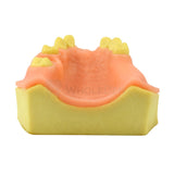 Easyinsmile Upper Jaw Model With Missing Teeth Orthodontic Wax