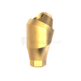 GDT Angled Multi Unit One Piece 17° 30° Conical Connection NP-Angulated Multi Unit-WholeDent.com