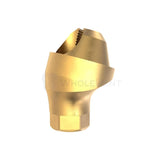 GDT Angled Multi Unit One Piece 17° 30° Conical Connection RP-Angled Multi Unit-WholeDent.com