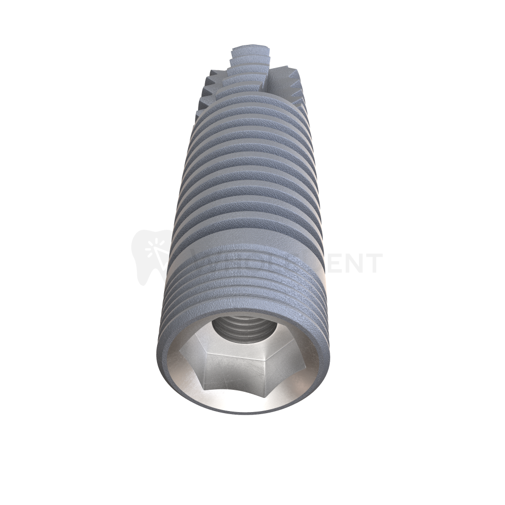 Gdt Cfi Cylindrical Implant + Angulated Abutment Healing Cap Special Offer