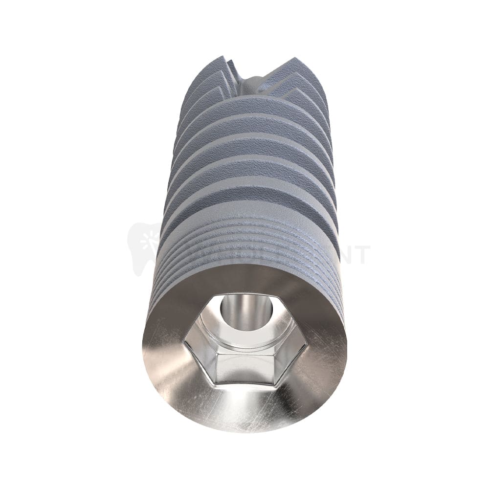 Gdt Mor Spiral Implant & Straight Abutment Healing Cap Special Offer