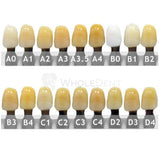 Ruthinium Artificial Acrylic Teeth Shade A3.5-Artificial Acrylic Teeth-WholeDent.com